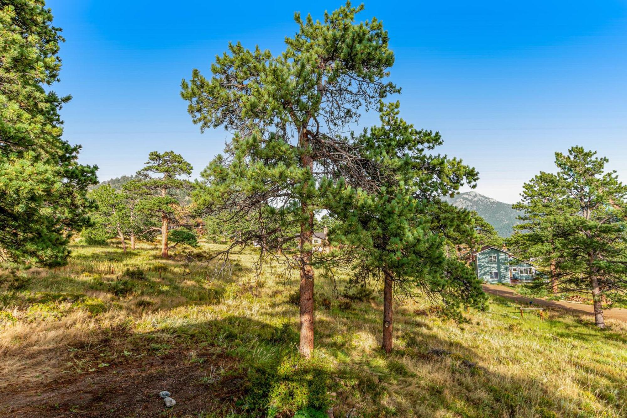 Deer Mountain Lodge South Estes Park Exteriör bild